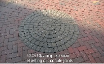 Paving blocks showing the difference befor eand after cleaning.
